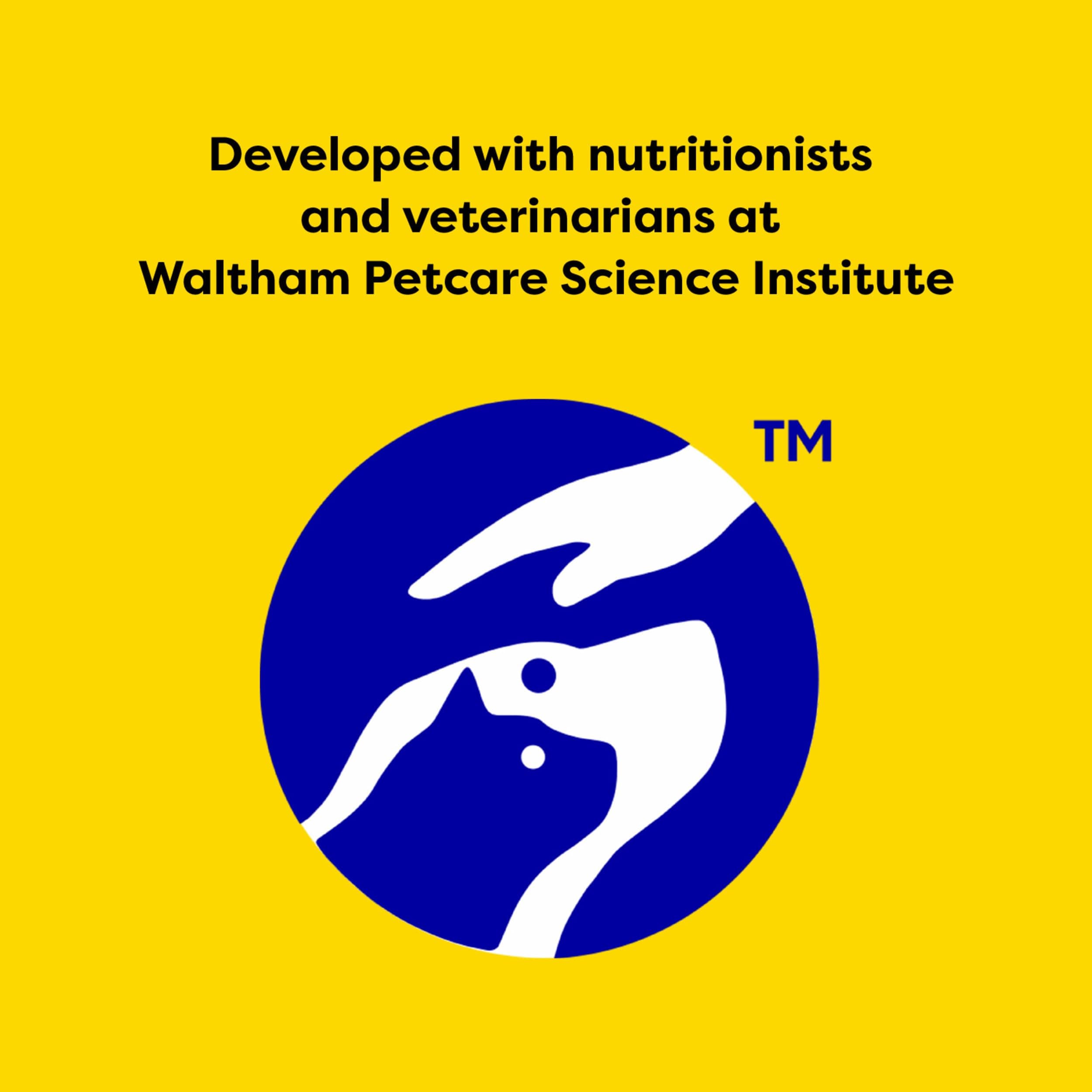 TEMPTATIONS Classic Crunchy and Soft Cat Treats Seafood Medley Flavor, 16 oz. Tub