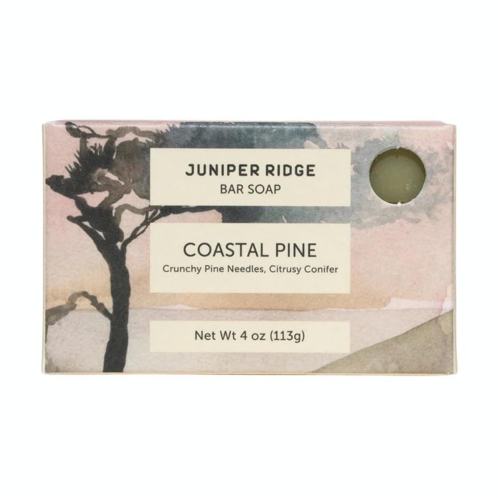 JUNIPER RIDGE Coastal Pine Bar Soap - Cold Processed Mild Castile Soap - Plant Based Ingredients & Steam Distilled Essential Oils - Paraben, Phthalate, Dye, Cruelty, & Preservative Free - 4oz Bar