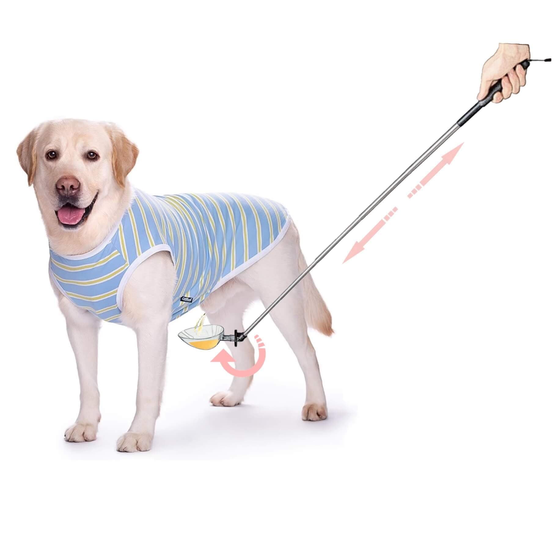 Dog Urine Sample Catcher,Long Handled Telescopic Dog Urine Collector,Super Easy to Usy Dog Pee Catcher Urine Stick for Small Large Female Dogs(Grey_Spoon)