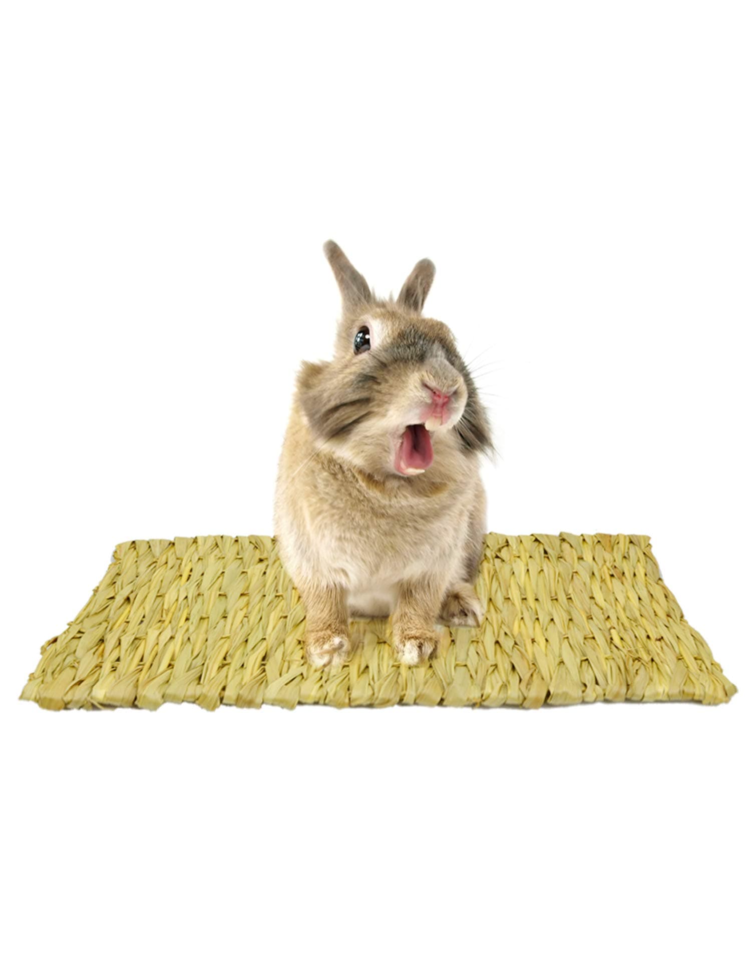 simoce Edible Handmade Natural Big Leaf Reed Hay Mat for Rabbit, Hamster, Guinea-Pig or Chinchilla, Sleep Bed and Chew Toy for Small Animals. (Small/Large/2xSmall)