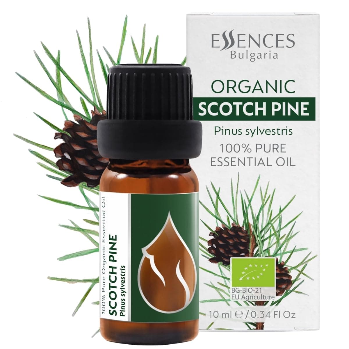 Essences Bulgaria Organic Scotch Pine Essential Oil 10ml | Pinus Sylvestris | 100% Pure and Natural | Undiluted | Therapeutic Grade | Family Owned Farm | Steam-Distilled | Non-GMO | Vegan