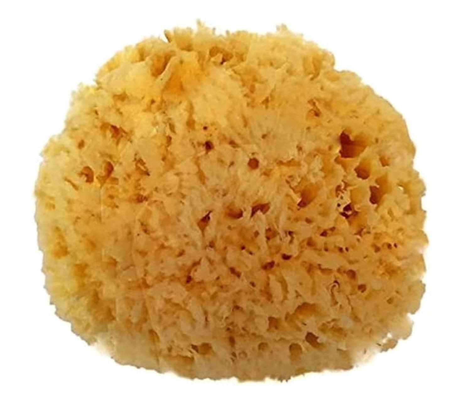 Spa Destinations Natural Sea Wool Sponge 5-6" Natural Renewable Resource Bath & Shower