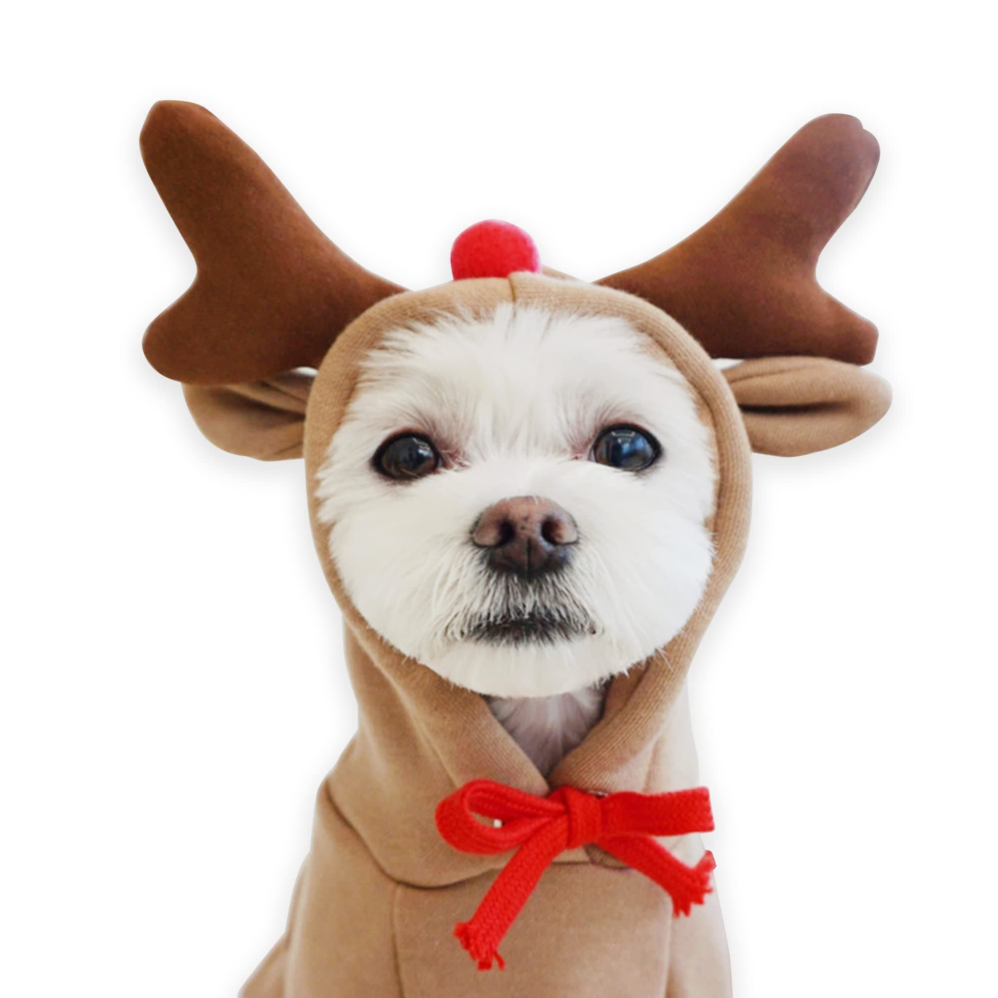 YAODHAOD Dog Hoodie, Pet Clothes Frog Shape Warm Jacket Pet Cold Weather Sweaters Clothes Winter Dog Clothes Warm Sweatshirt Coat Chihuahua