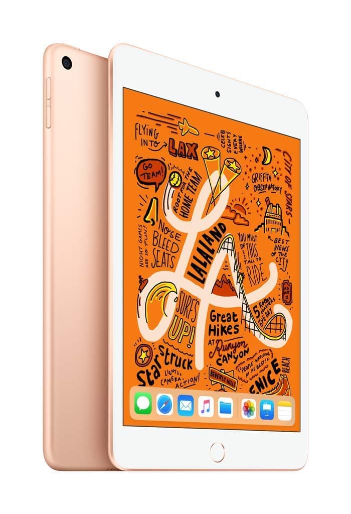 2019 Apple iPad Mini (7.9-inch, Wi-Fi, 32GB) Gold (Renewed)