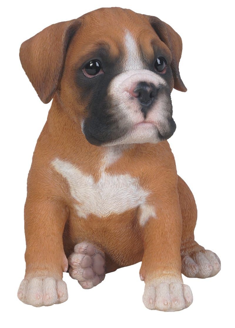 Vivid ArtsPet Pals - Boxer Puppy