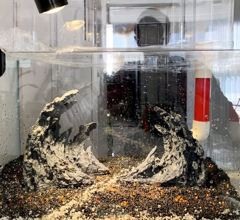 Large ’ Soul Valley’ Aquarium Ornaments Extra Large Aquarium Decorations Superior Landscaping (Soul Valley 18inch)