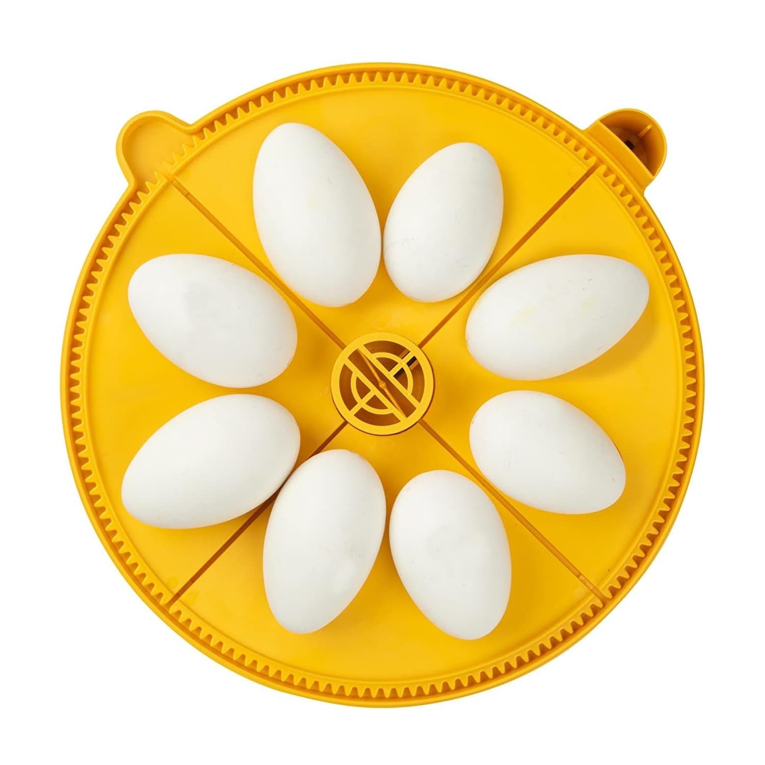 Extra Large Egg Quadrant Insert for Maxi Advance Incubator System, Fits 8 Goose-Size Eggs