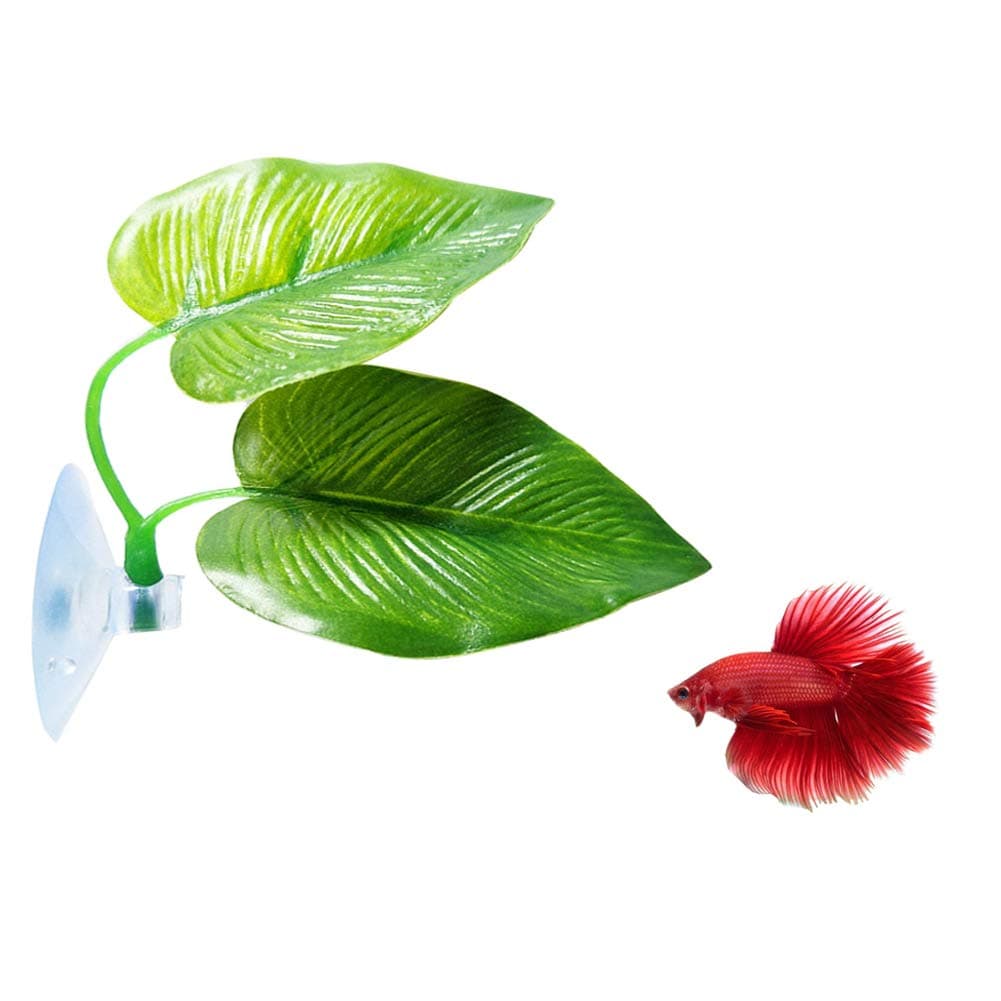 CousDUoBe 1 Pack Betta Fish Leaf Pad Improves Betta's Health by Simulating The Natural Habitat - Natural, Organic, Comfortable Rest Area for Fish Aquarium Ornaments