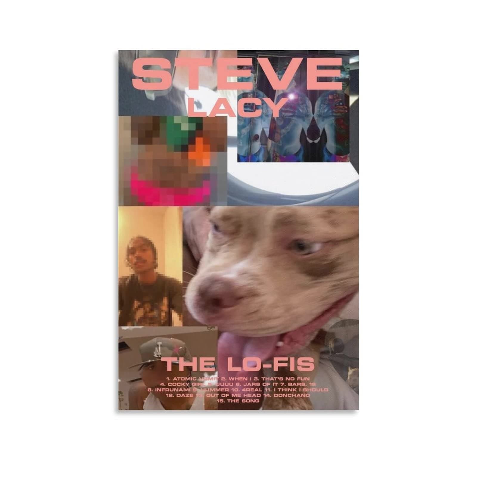 YILin Steve Lacy Music Poster Aesthetic Decorative Painting Canvas Wall Art Living Room Decor Gift 12x18inch(30x45cm)