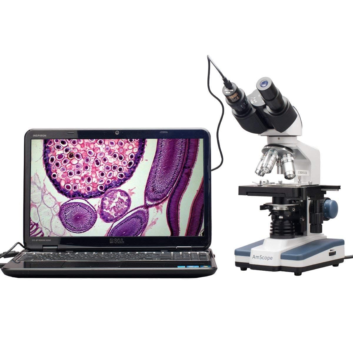 AmScope 3D Double Layer Mechanical Stage + 1.3MP USB Digital Camera Mirror and 40X-2500X LED Biological Binoculars Composite Microscope