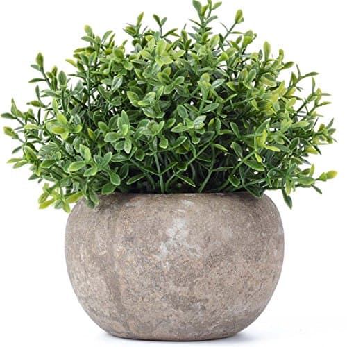 Kumii Artificial Plastic Lucky Clover Potted Plant Mini Topiary Plants for Office Desk Living Room Decoration (Green Leaf Clover)
