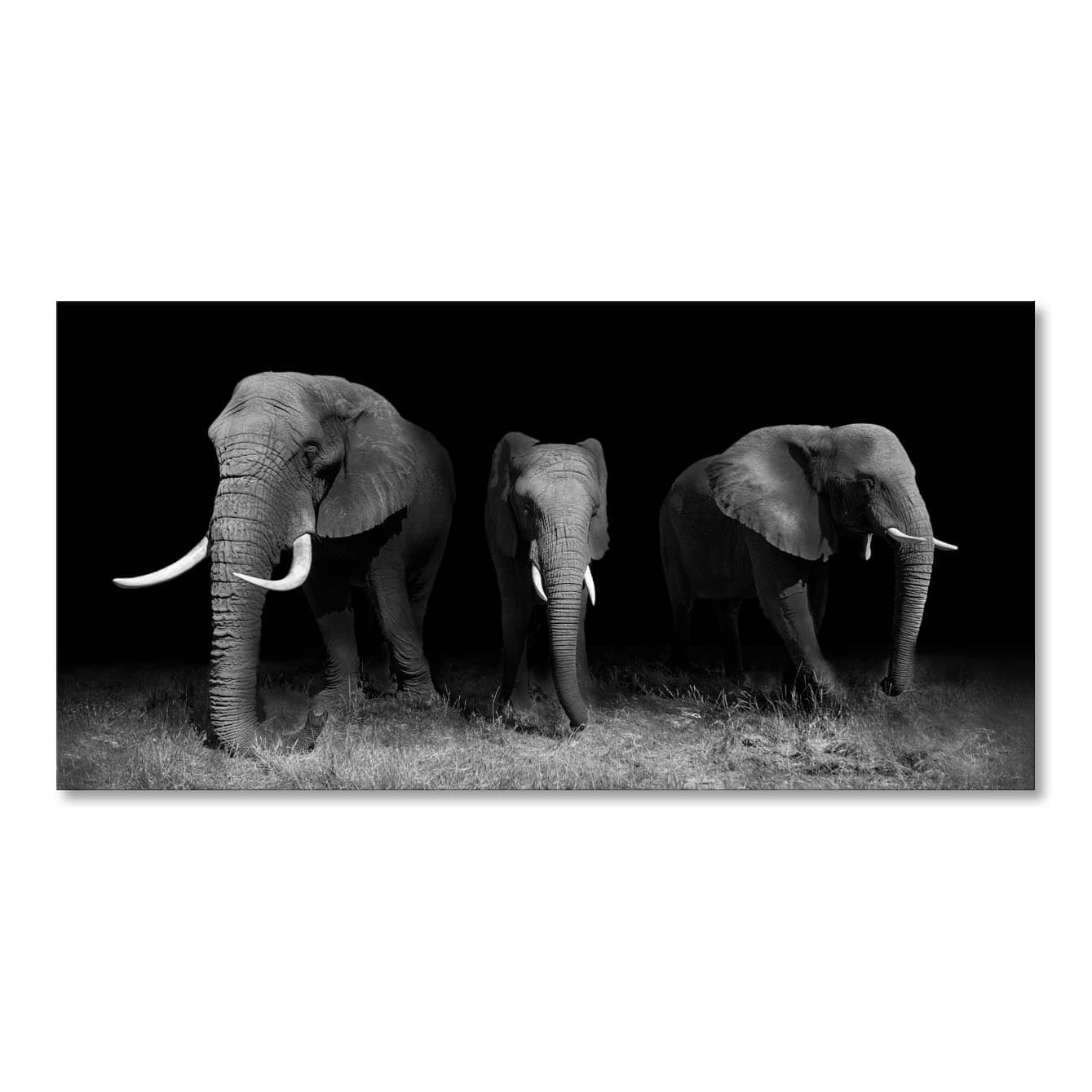 Large Black White Elephant Contemporary African Animal Wall Art Canvas Print Framed Picture Modern Painting for Living Room Bedroom Decor