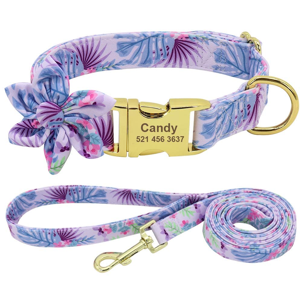 Forestpaw Multi-Colored Dog Collar and Leash Set,Custom Personalized Engraved Collars,Adjustable Id Collars,for Small,Medium,Large,French Bulldog,Yorkies,Teddy,Labrador,Beagles,Border Collie,Samoyed