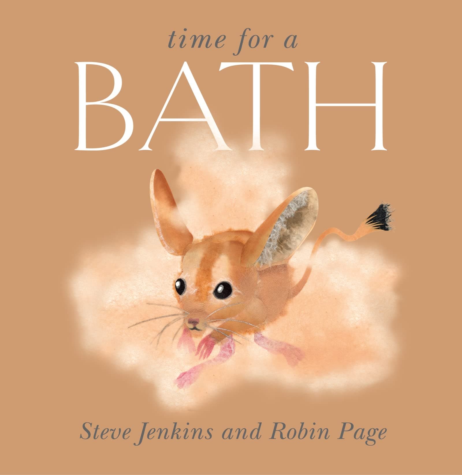 Time for a Bath Hardcover – Picture Book, March 28, 2011