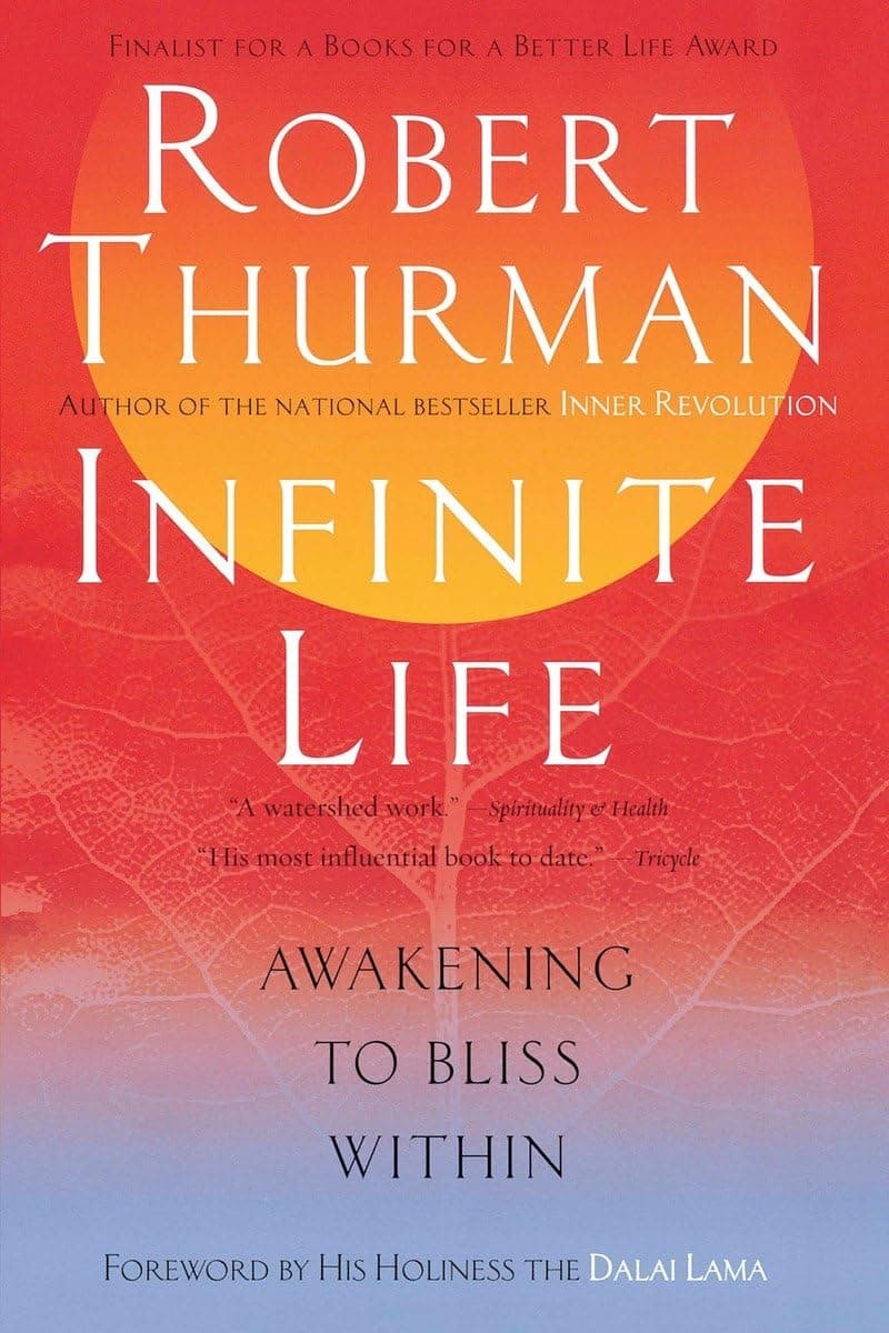 Infinite Life: Awakening to Bliss Within Paperback – February 1, 2005
