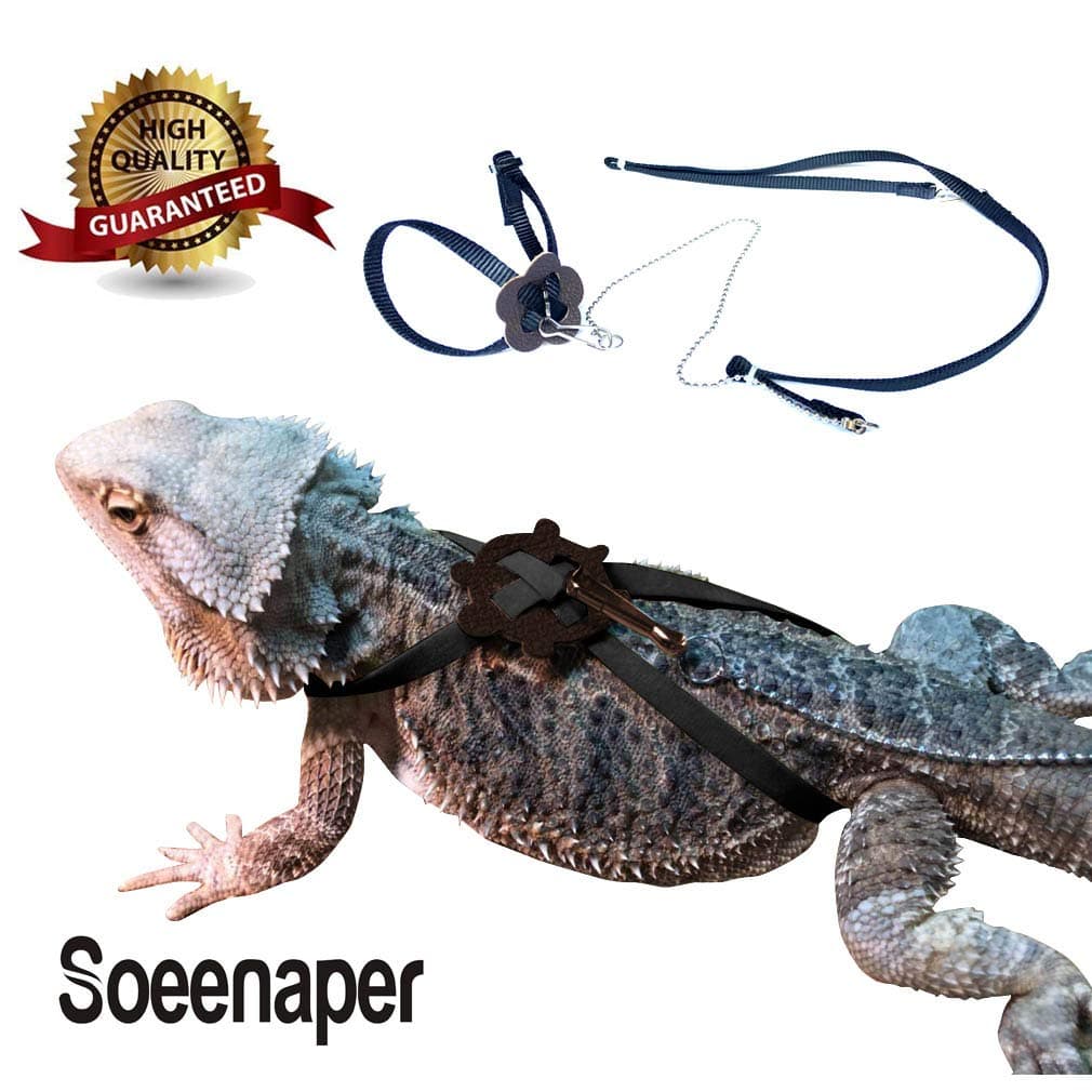 Soeenaper Lizard Leashes Adjustable Reptile Lizard Harness Leash Bearded Dragon Harness Lizard Rope (Black, Simple)