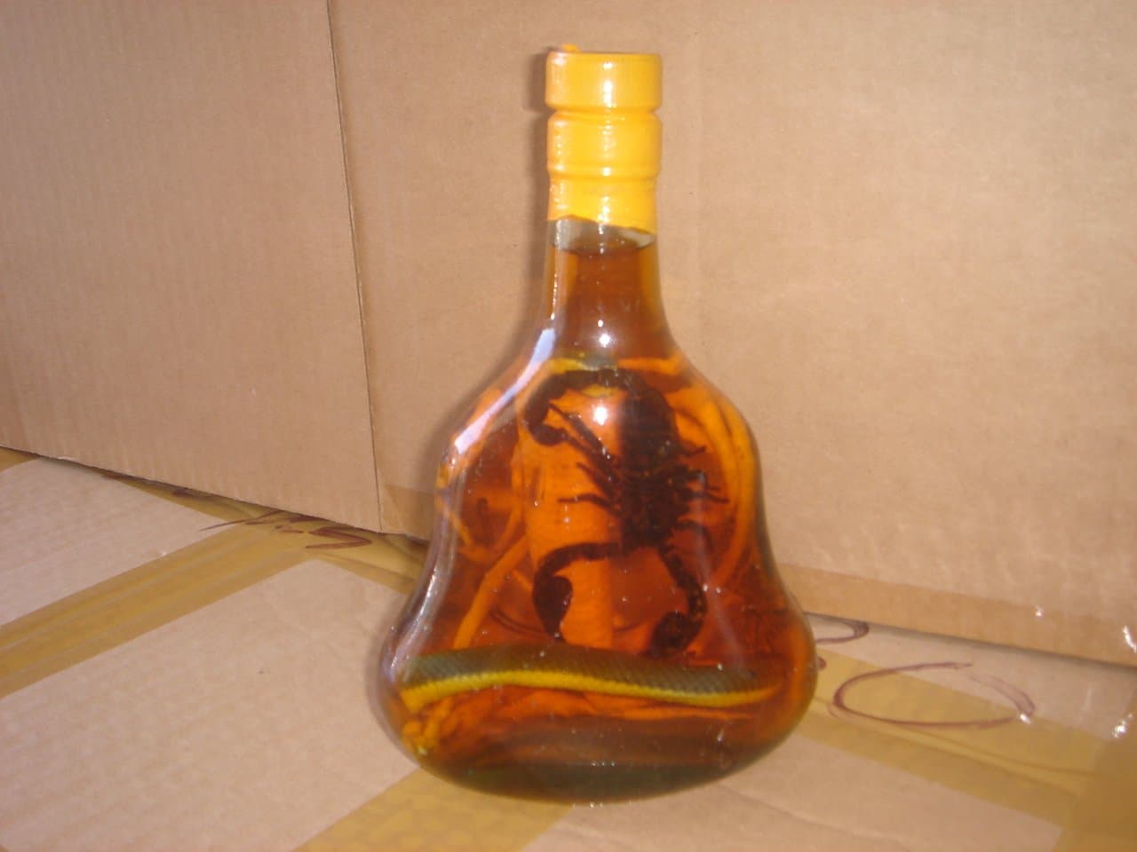 Real Cobra Snake and Scorpion in a X O Glass Bottle 7 Inch Tall