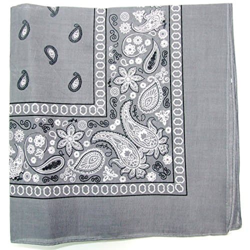 Kaiser Collection Double Sided Paisley Bandanas (1 Dozen)