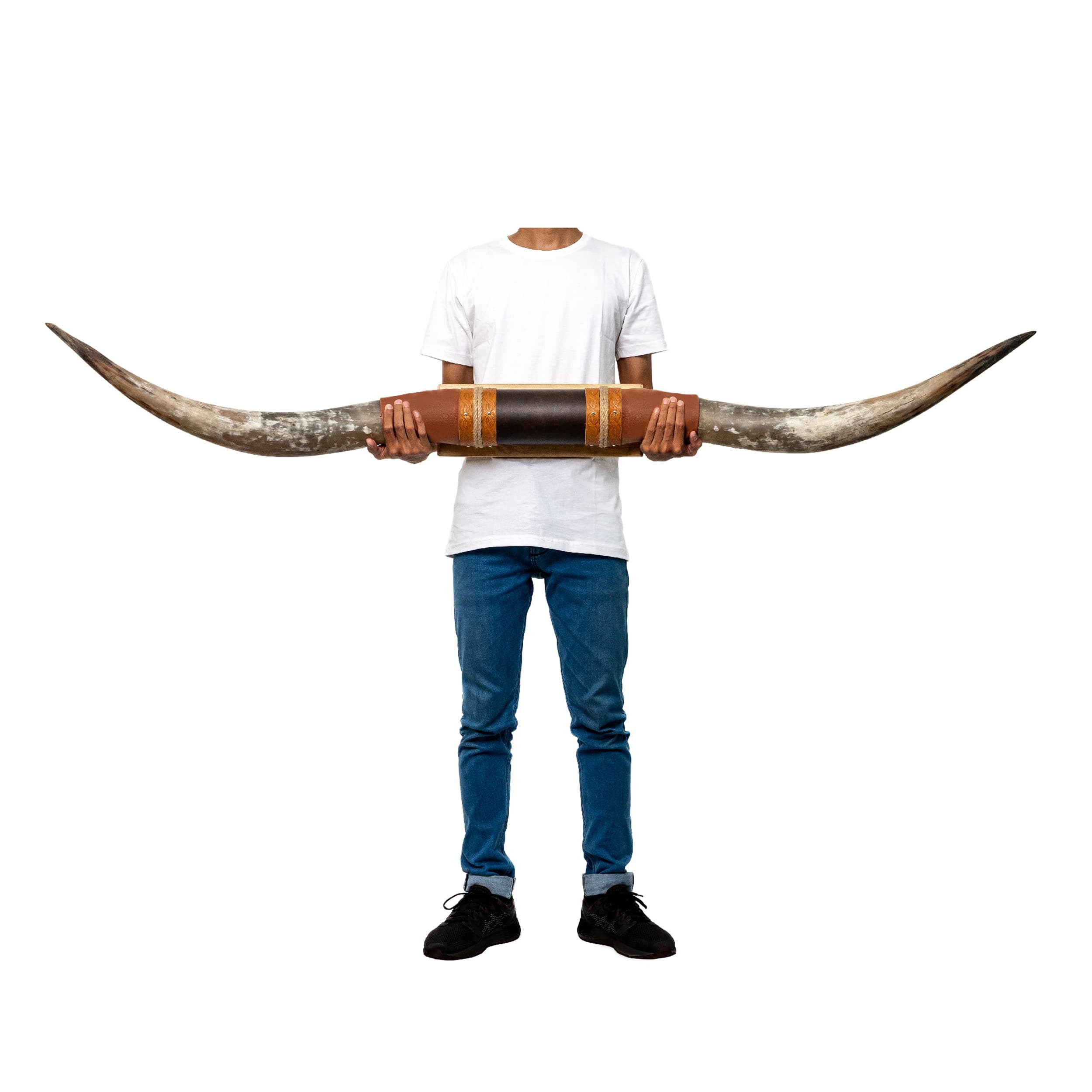 Skull Bliss - Authentic Real Bull Longhorn/Brown Leather Horn Mount - Steer Horns/Unique Wall Hangings and Longhorn Wall Decor (Standard Horns)