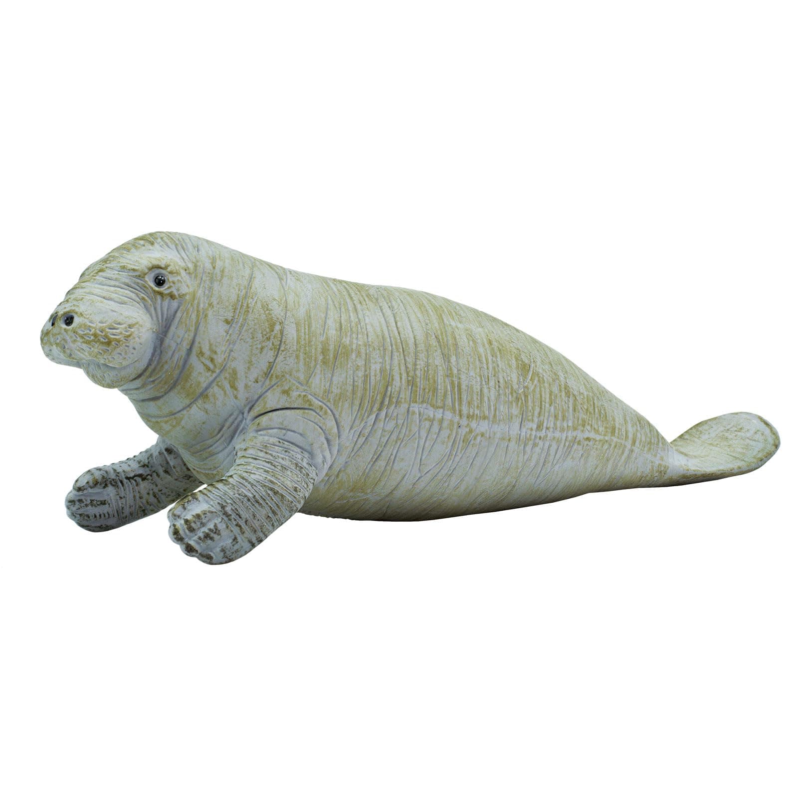 Safari Ltd. Manatee Figurine - Detailed 6" Plastic Model Figure - Fun Educational Play Toy for Boys, Girls & Kids Ages 3+