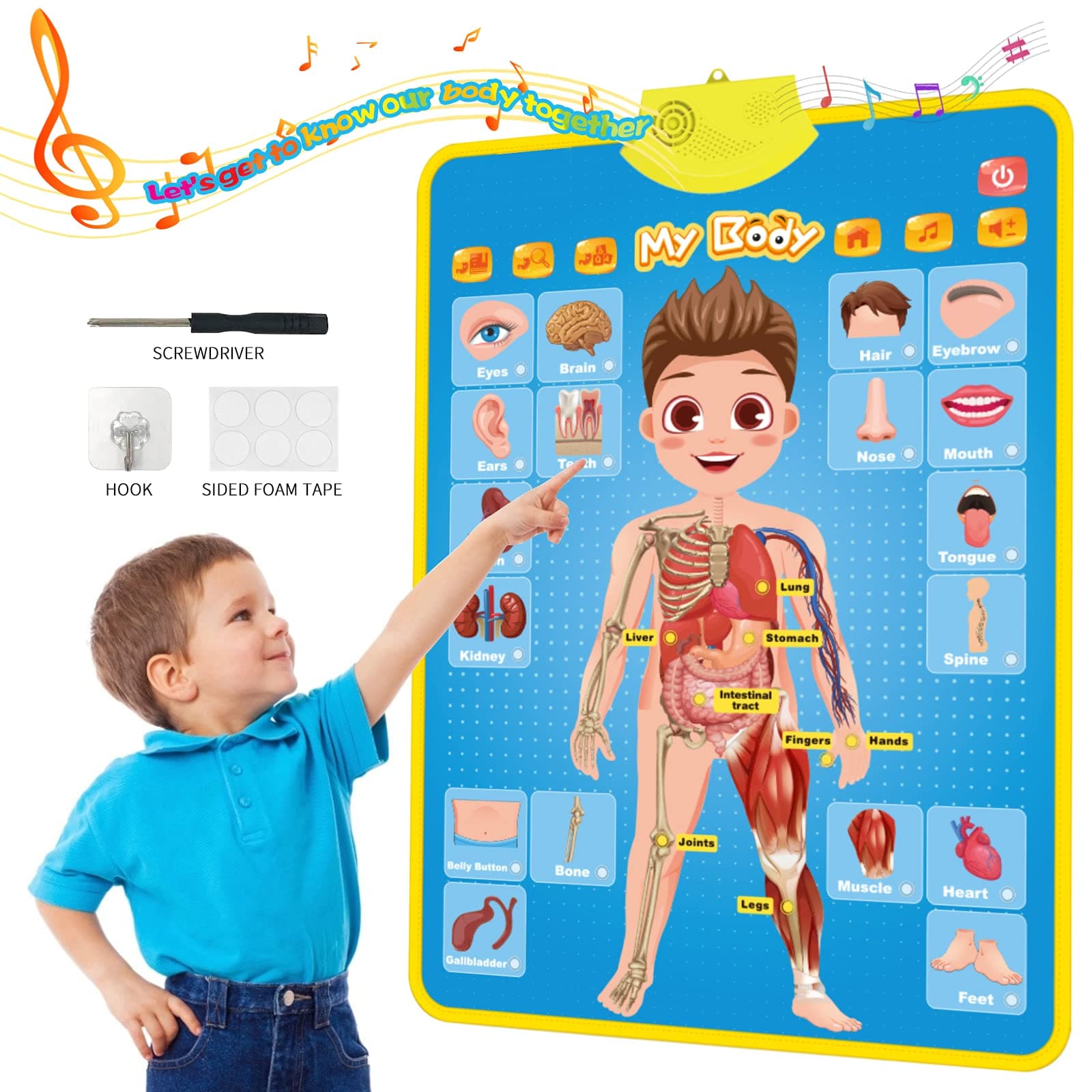 My Body Interactive Educational Poster for Toddlers and Kids to Learn Body Parts, Organs, Muscles and Bones, 16'' x 22''