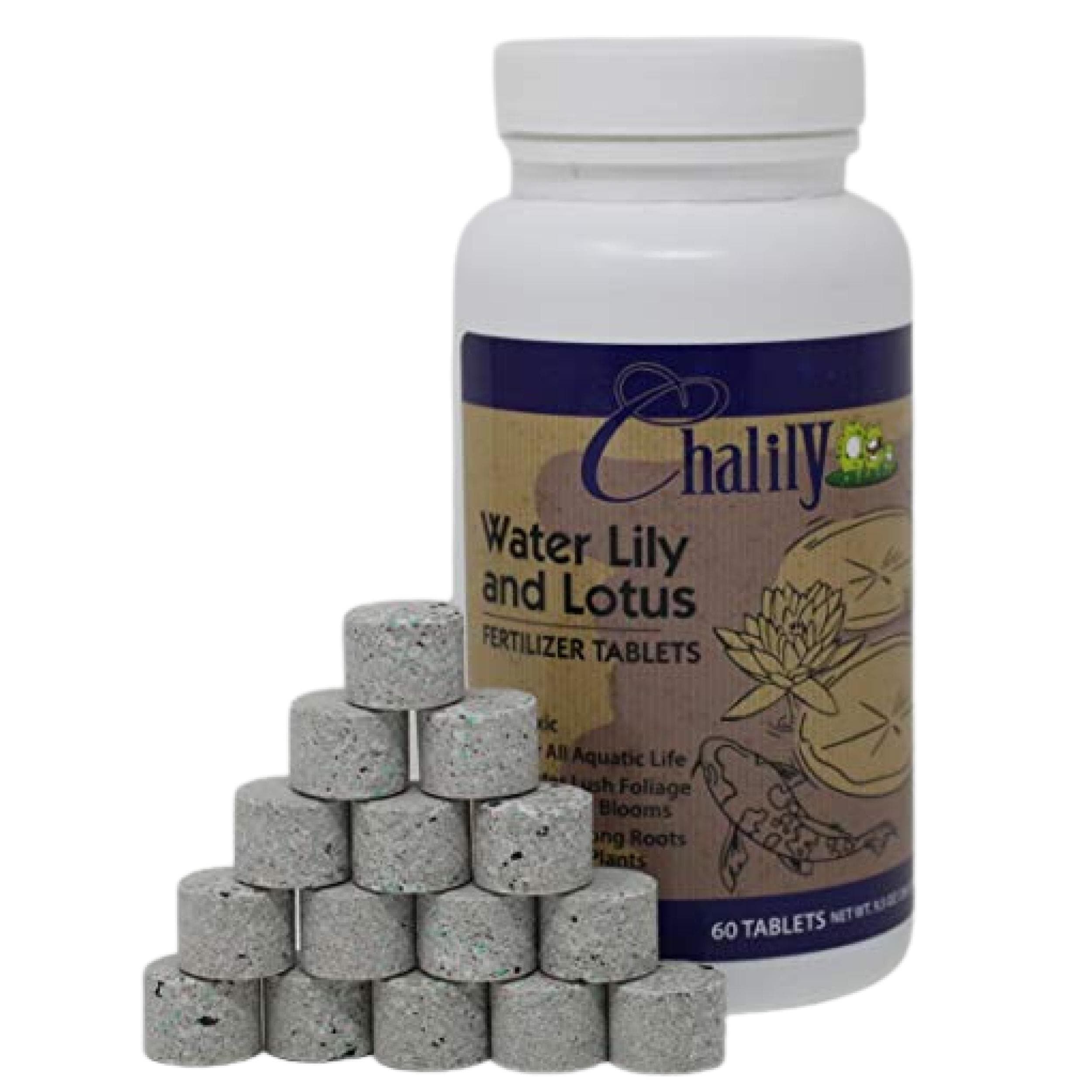 Chalily Aquatic Plant Fertilizer for Water Lily and Lotus | Great for Use in a Pond & Aquarium | Perfect Plant Food (60 Count)