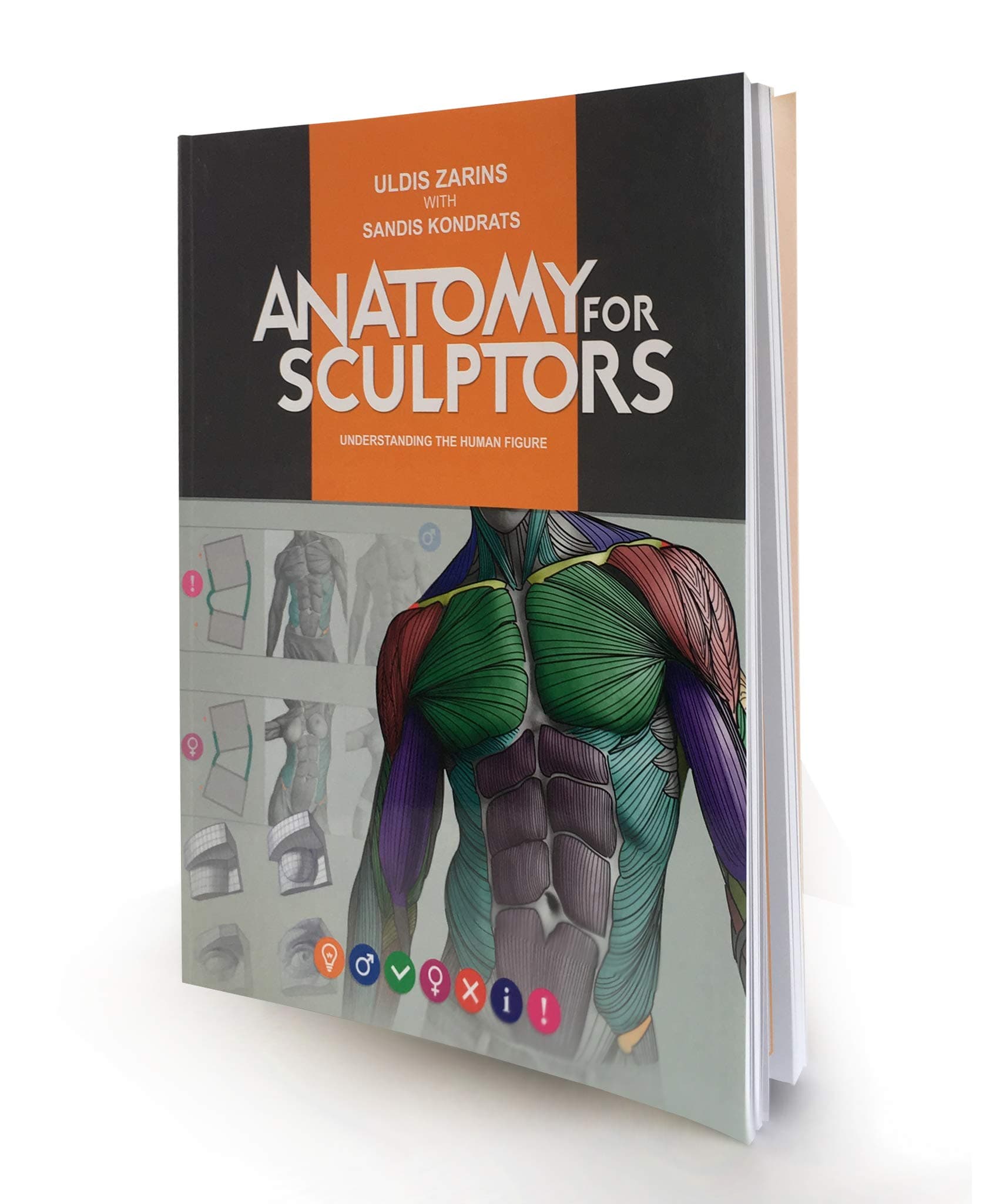 Anatomy for Sculptors Understanding the Human Figure Paperback – January 1, 1777