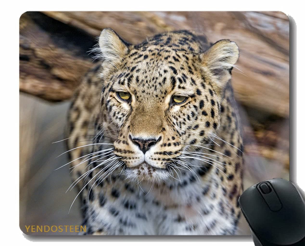 YENDOSTEENYENDOSTEEN Mouse Pad With Stitched Edge,Leopard Sleep Big Cat 159065 Mouse Pads