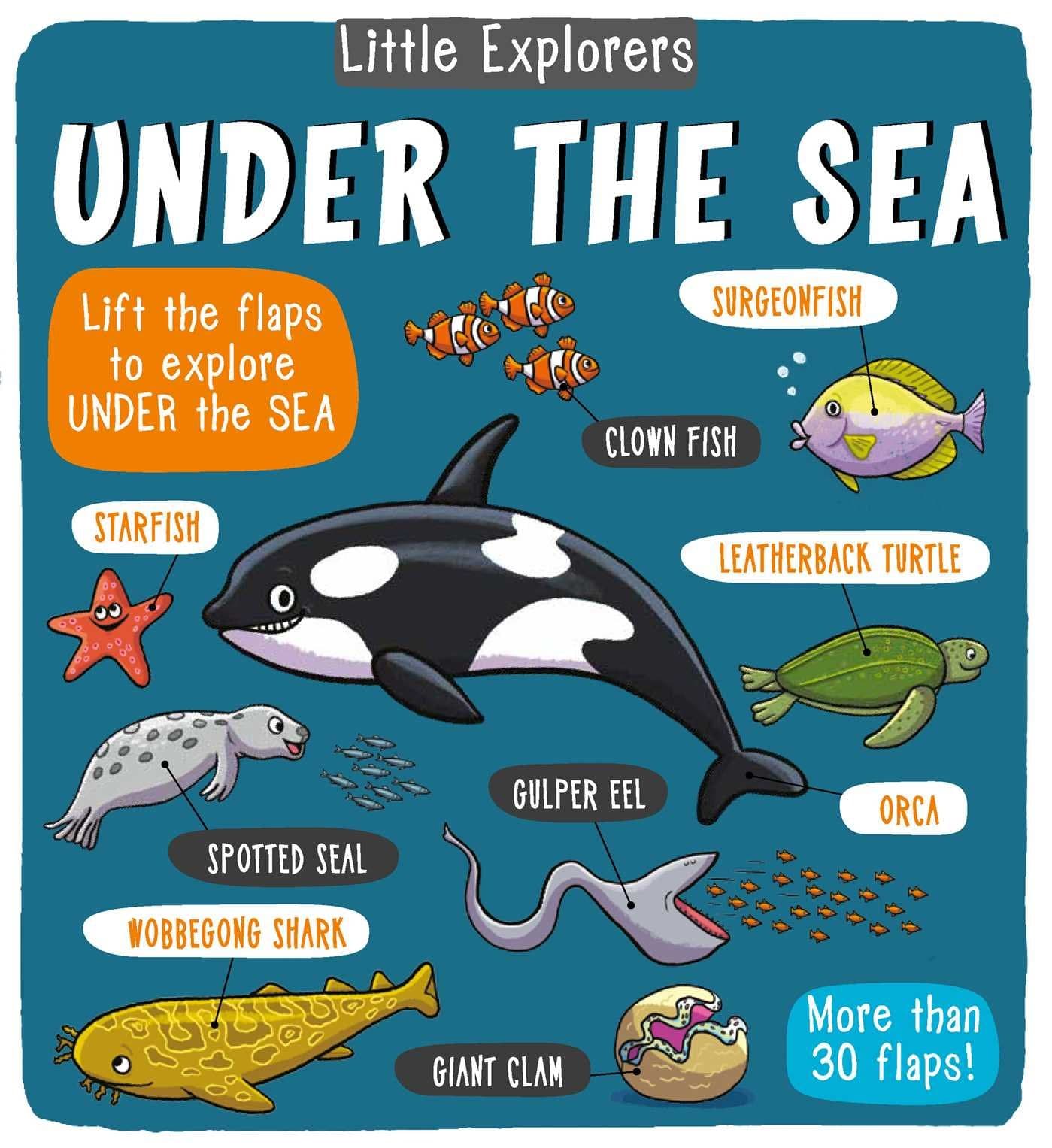 Little Explorers: Under the Sea Hardcover – Lift the flap, 1 May 2018