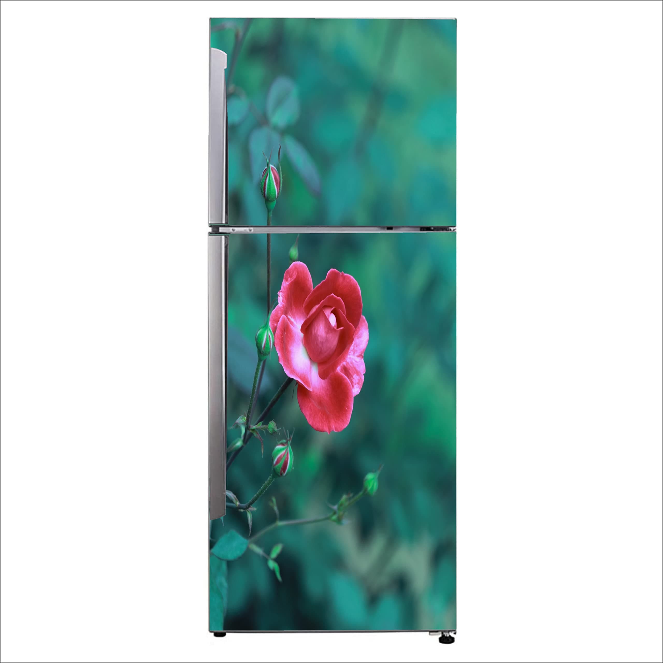 K2A Studio Decorative Beautiful hot Cocoa floribunda Rose Fridge sticker-FD621_K2