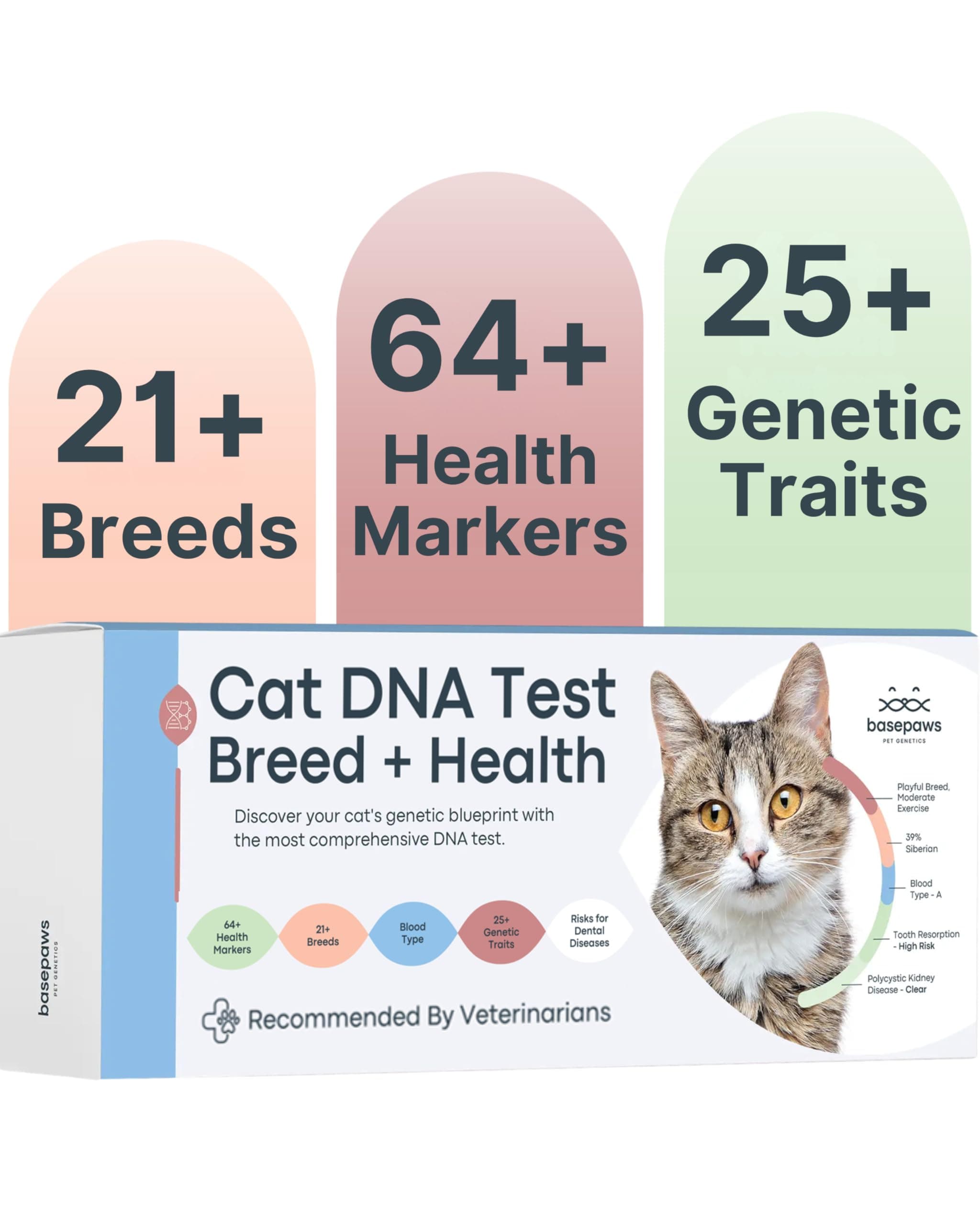 Basepaws Cat DNA Test | Breed + Health + Dental Report | Top Cat Breeds & 114 Health & Trait Markers | As Seen On Shark Tank