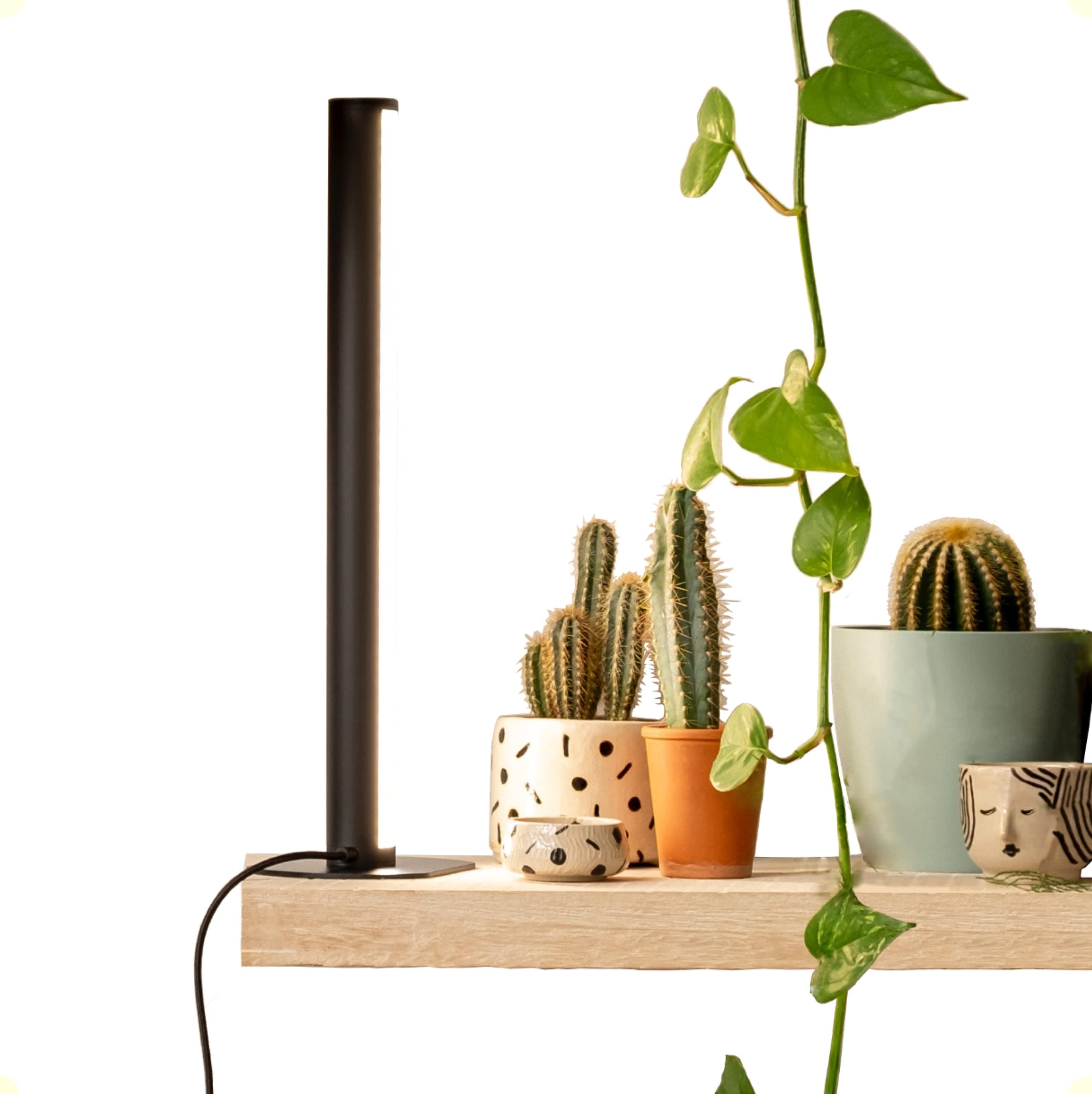 PlantSpectrum16 Glow Light Full Spectrum LED Plant Growing Lamp 16 Watt for Indoor Plants