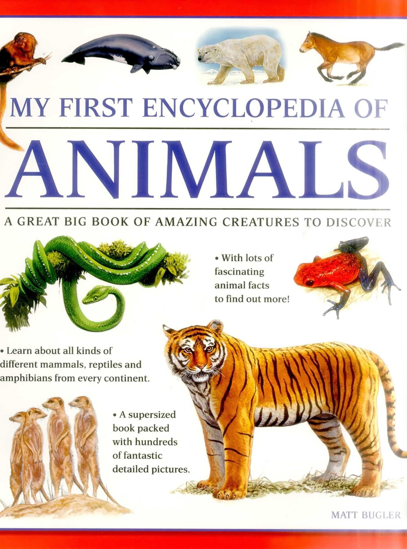 My First Encylopedia of Animals: A First Encyclopedia with Supersize Pictures
