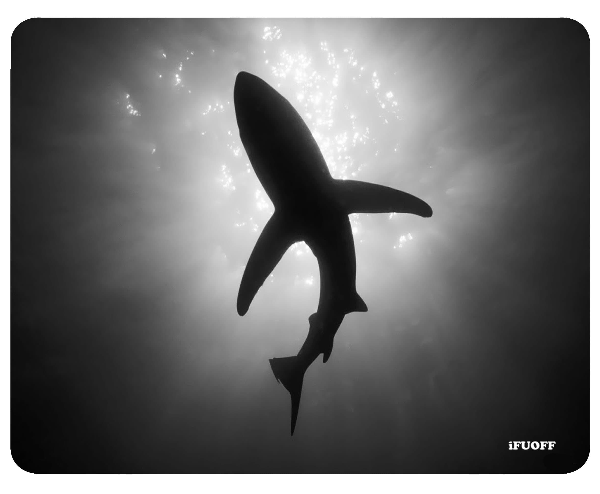 Animal Design Shark Silhouette Mousepad Rubber Mouse Pad 220mm x 180mm