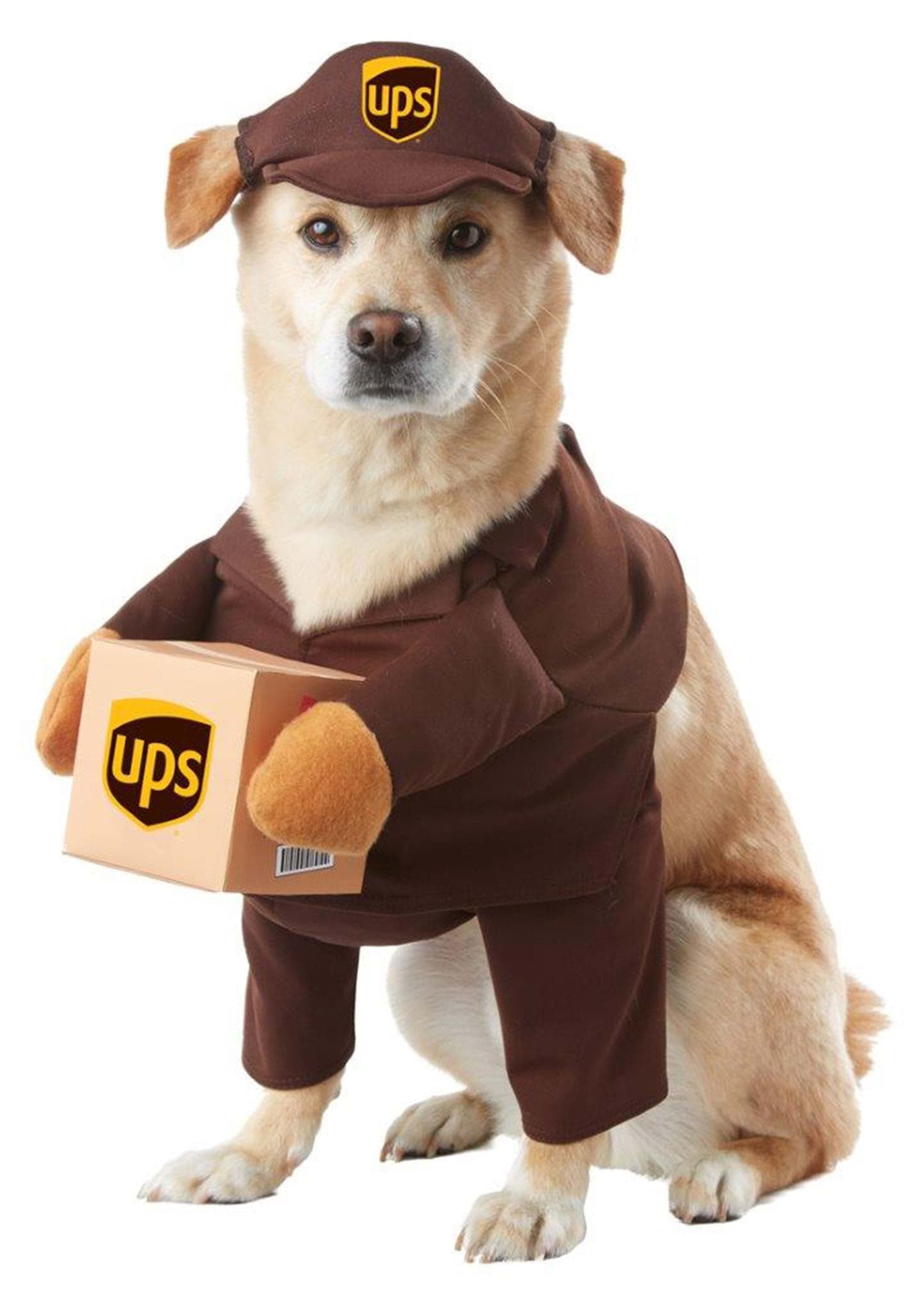 UPS Pal, Dog Costume, X-Small