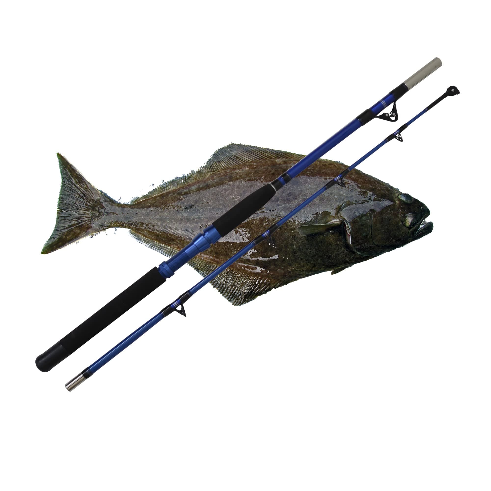 Travel Rod 2 Piece 5'6" 60-80lb (60-130lb Braid) Halibut/Tuna/Saltwater Rod