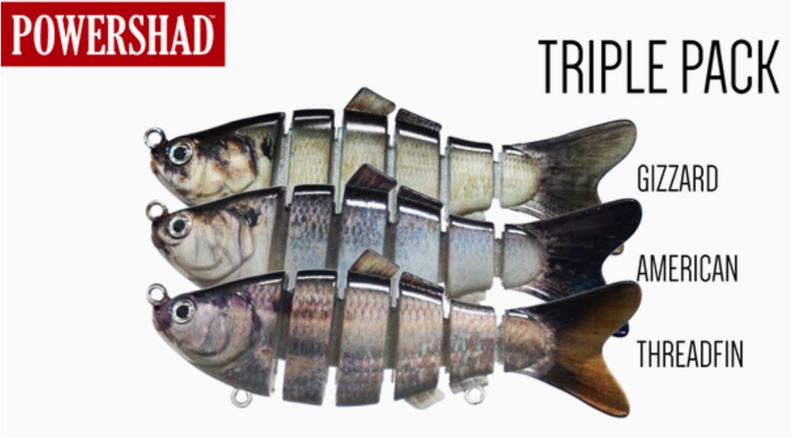 PowerShad – 3 Pack: Gizzard, American & Threadfin – 4 inch 1oz Slow Sink. Extremely Realistic Shad Swimbait! Life-Like Swim Action & Super Realistic. Target All Bass Species.