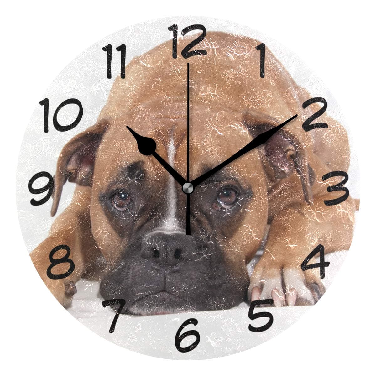 DragonSwordlinsu COOSUN Beautiful Boxer Dog Wall Clock Silent Non Ticking Acrylic Decorative 10 Inch Round Clock for Home Office School