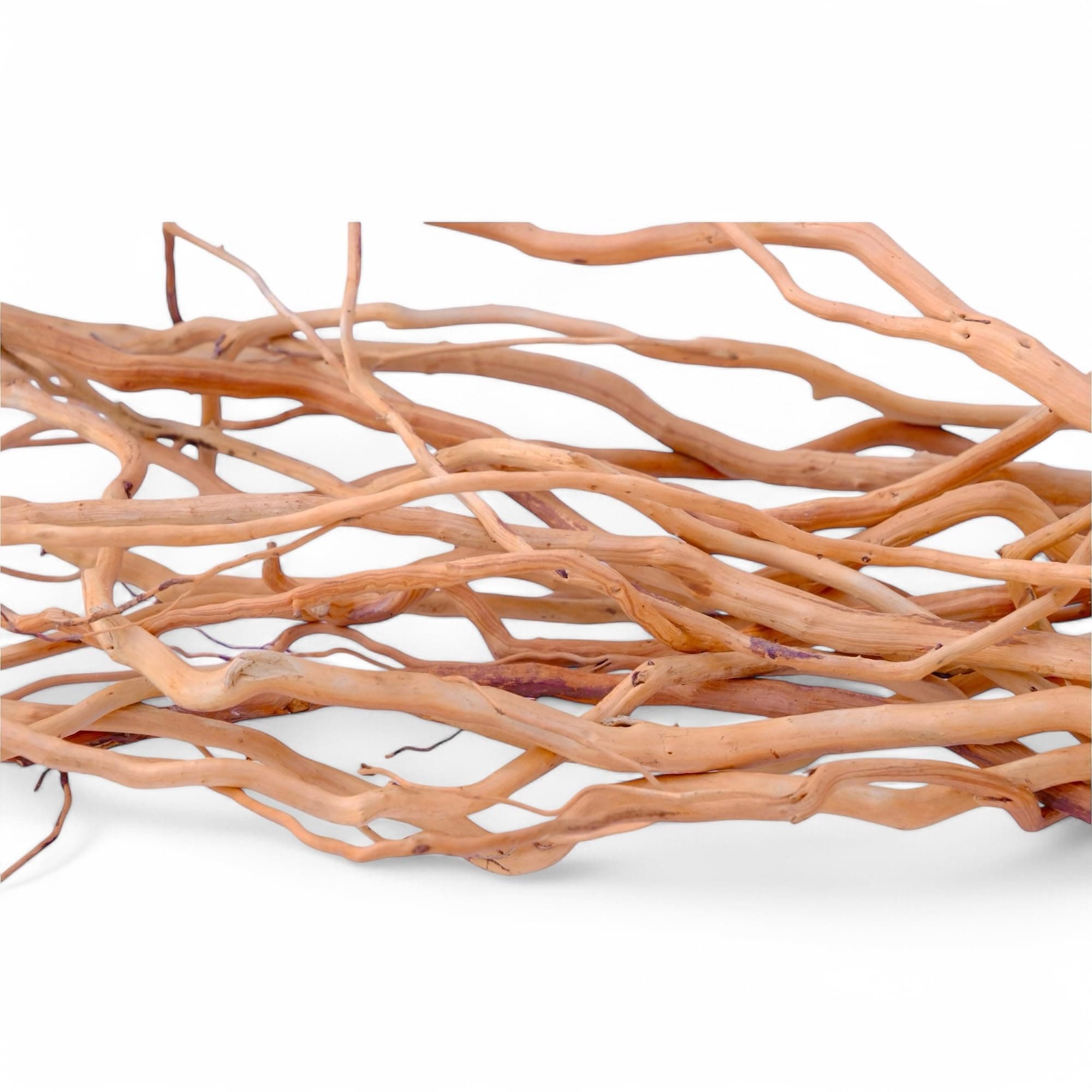 Azil Natural Aquarium Driftwood Root – Driftwood for Aquarium Decor, 170g~0.38lb (14″–16″), Fish Tanks, Terrariums, Aquascaping & Planted Tanks