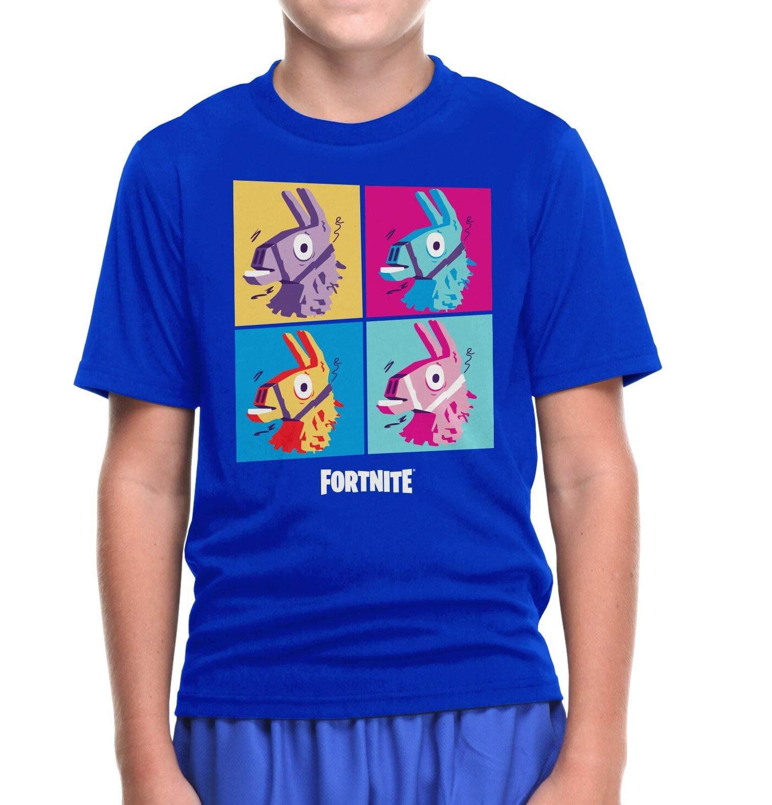 Epic Games Fortnite Llama Loot Grid Boy's Youth T-Shirt, Royal Blue