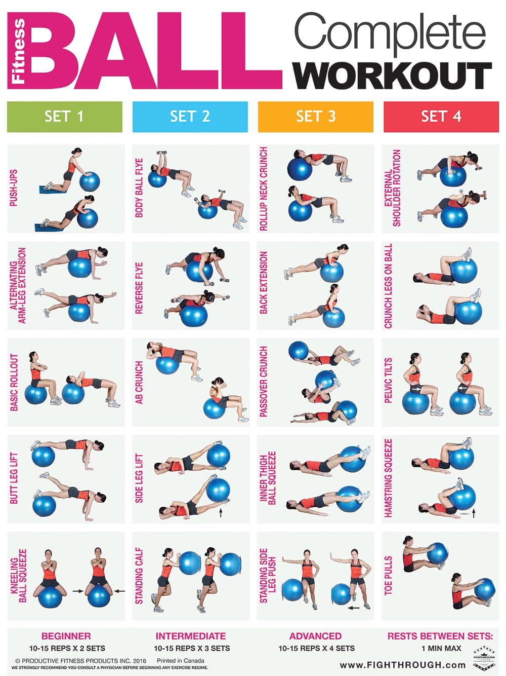 Fitness Ball Complete Workout - FT - Laminated Poster / Chart - Core - Chest - Legs - Shoulders & Back - Build Muscle, Tone & Tighten - Fitness Ball Training - 45.72cm X 60.96cm