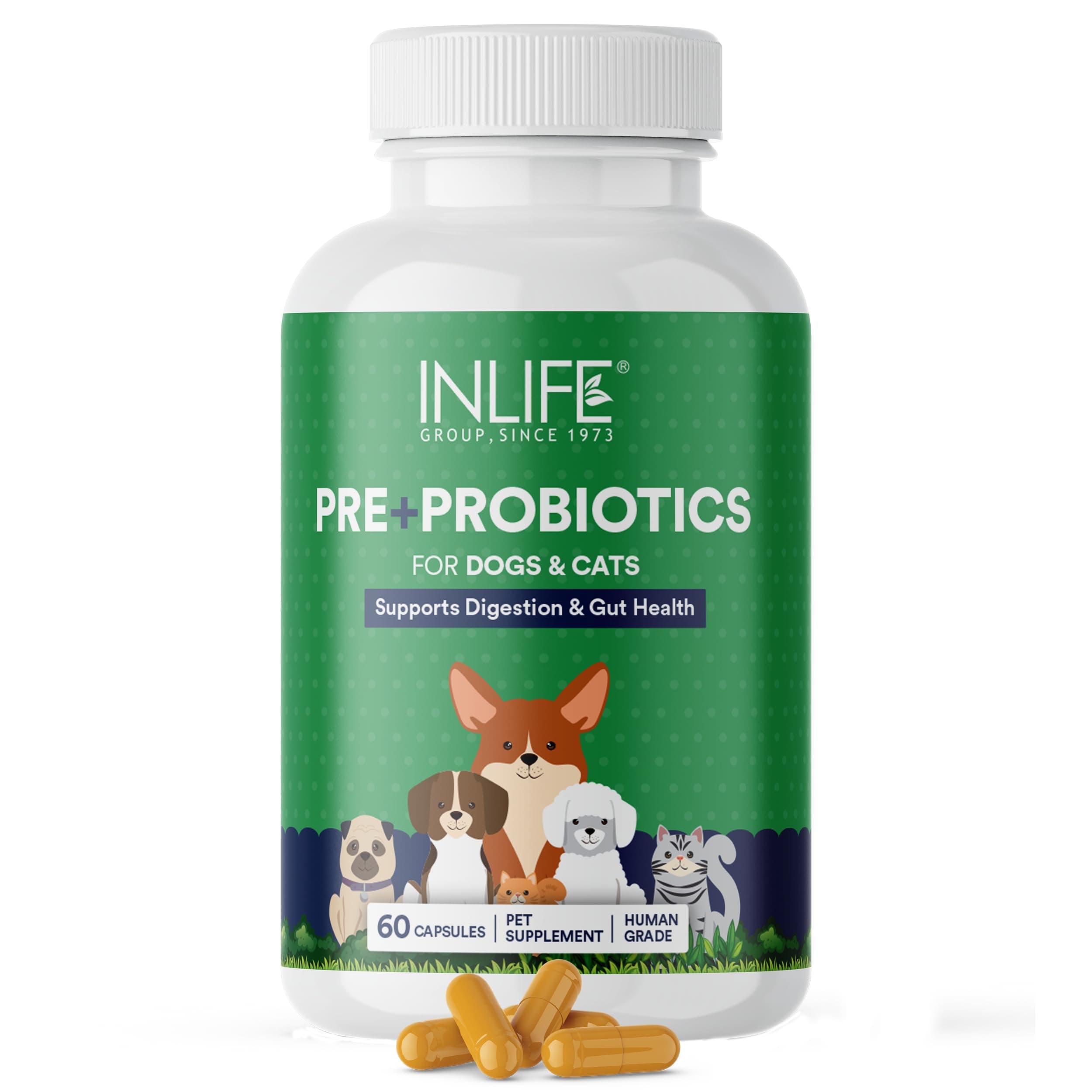INLIFE Prebiotics and Probiotics for Dogs Cats and Pets | Contains Lactobacillus | 60 Capsules