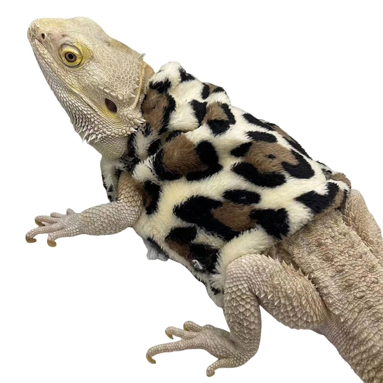 Pet Clothes, Bearded Dragon Costume | Dragon Costume for Reptiles, Outfits Clothes Photo Props for Geckos, Hamsters