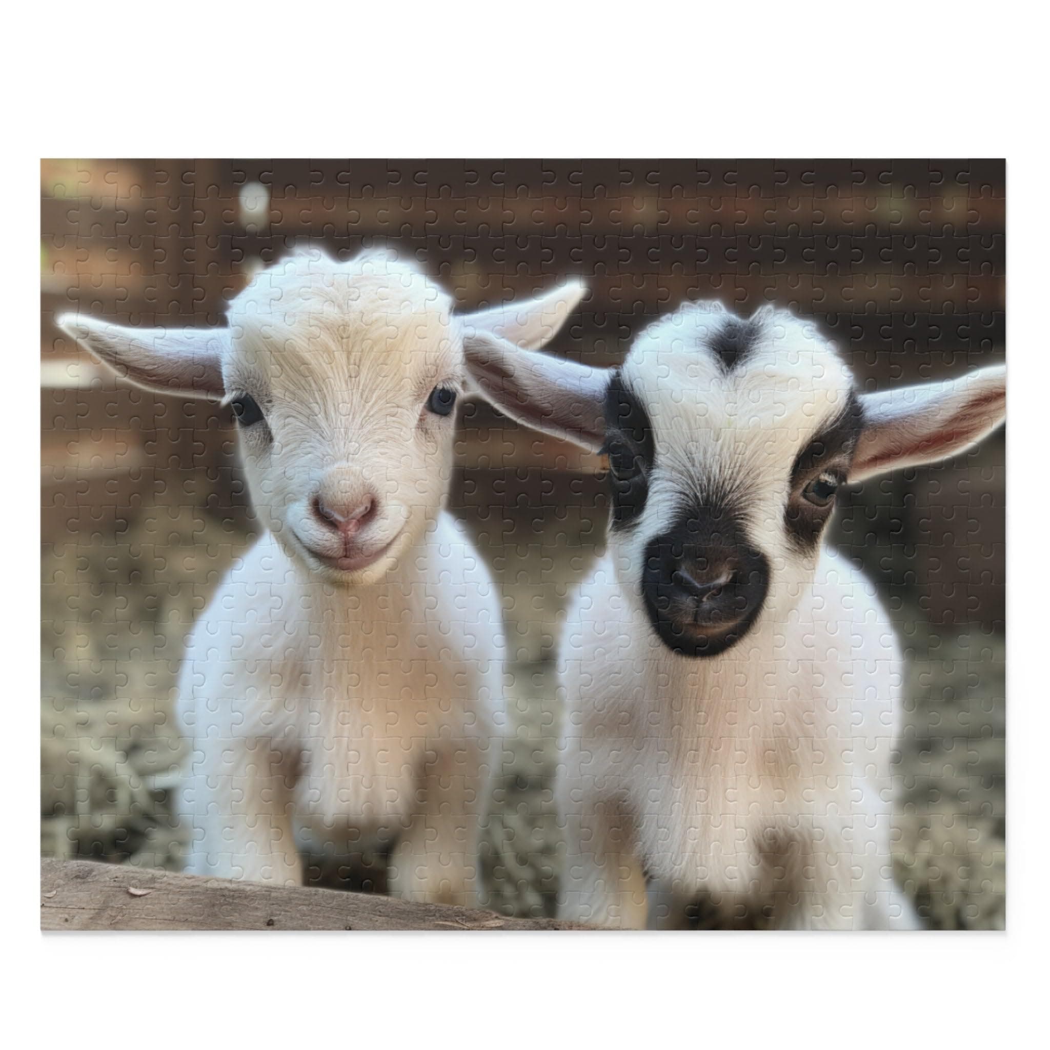 Farm Baby Goats Jigsaw Puzzle for Adults - Wooden Puzzle 500 Piece - Farm Animal Cute Goat Puzzle Home Decor Kids Party Entertainment Toys Fun Family Games Best Gifts