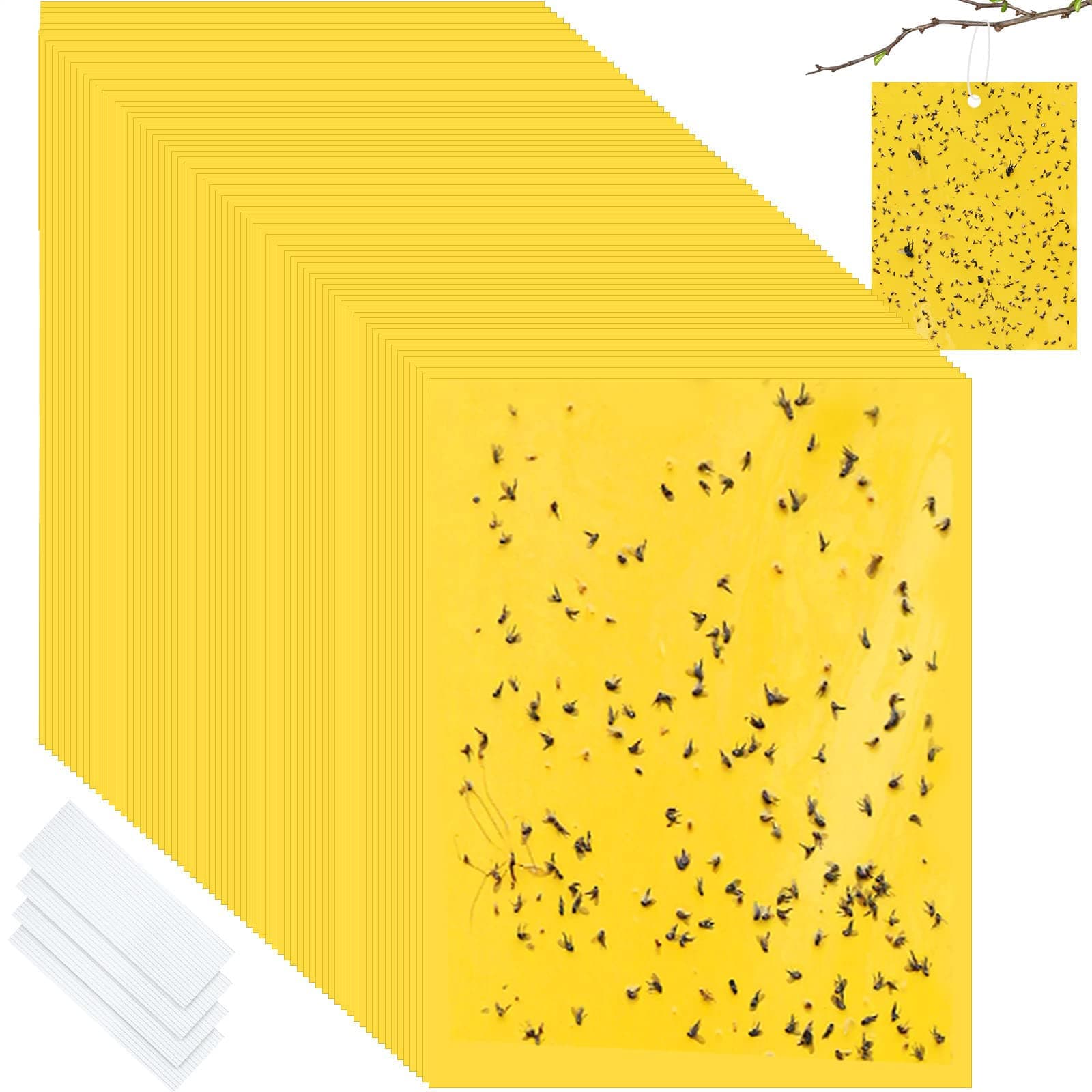 50-Pack Fruit Fly Trap, Yellow Sticky Gnat Traps Killer for Indoor/Outdoor Flying Plant Insect Like Fungus Gnats, Whiteflies, Aphids, Leaf Miners - 6x8 in, Twist Ties Included