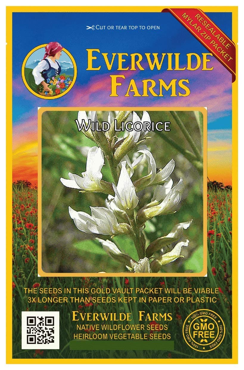 Everwilde Farms - 60 Wild Licorice Native Wildflower Seeds - Gold Vault Seed Packet