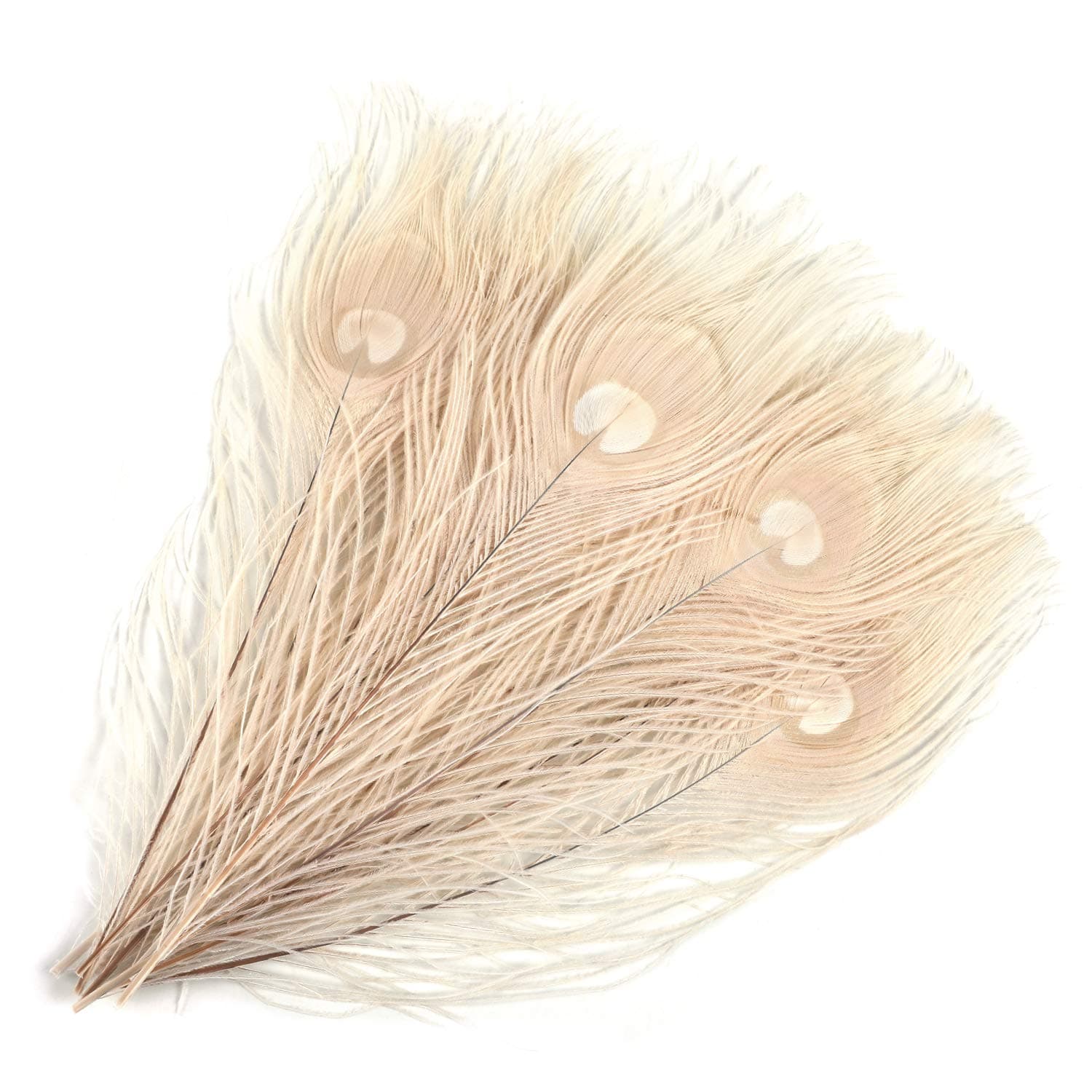 Mwoot 15pcs Natural Peacock Eye Feathers, Screen Green Tail Eye Feathers for DIY Craft,Costume,Wedding Holiday Party Decoration 11.02-12.6inch (28-32CM)