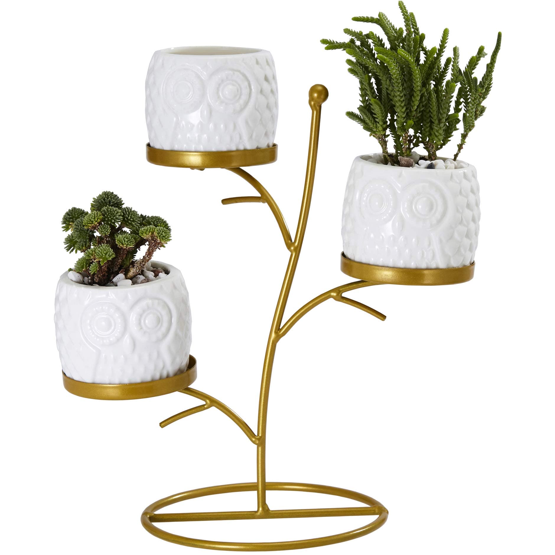 Small Succulent Planter Pots