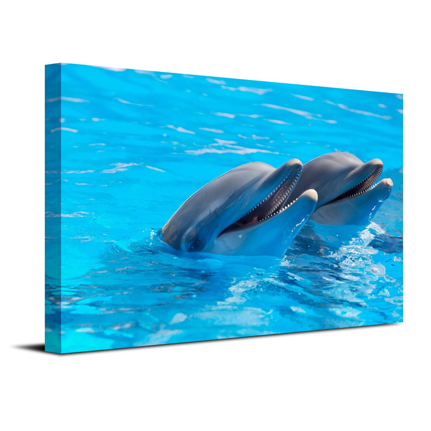 Royllent 1 Panel Framed Wall Art 16x24inch Dolphin Swim Painting The Picture Print On Canvas For Home Decor Decoration Gift piece (Stretched By Wooden Frame,Ready To Hang) RA-CP0049