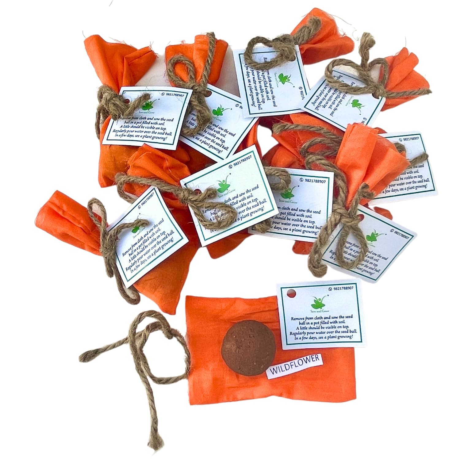 Seed Balls of Wildflower Seeds | Set of 10 Individually Packed Beej Balls | Eco-Friendly Gardening Kit | Sustainable Green Gifting | Easy to Grow Flower Mix